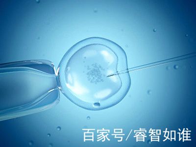 关于供卵代怀包生男孩机构